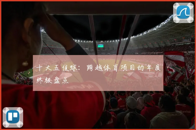 十大五佳球:跨越体育项目的年度终极盘点